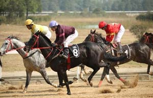 Sport of kings a lure for nouveau riche