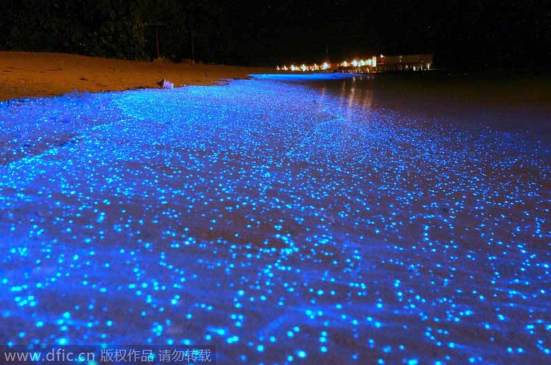 Top 10 overseas destinations for Chinese tourists