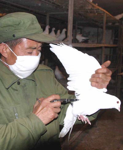 Beijing says to detain anyone refusing to immune poultry