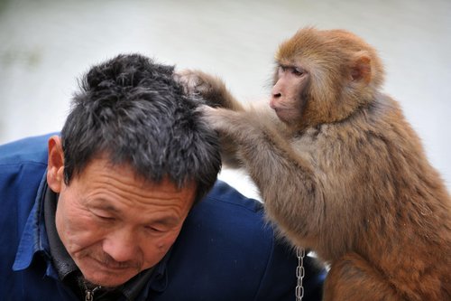 Top 10 moments with our 'best friends'