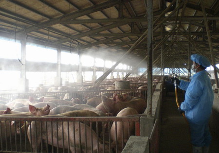 China gears up to ward off swine flu