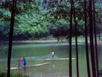 Tongling