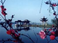 Tongling