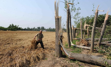 Storm kills 22 in China, 117 injured
