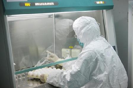 China's flu vaccines safe: Health Ministry