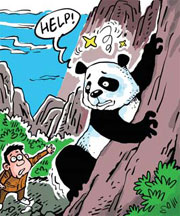 Construction workers rescue panda stuck on hill