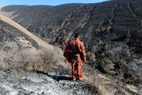 Technology may help save grasslands from fiery wrath