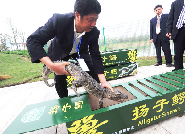 Endangered lists enjoy healthy rises in numbers