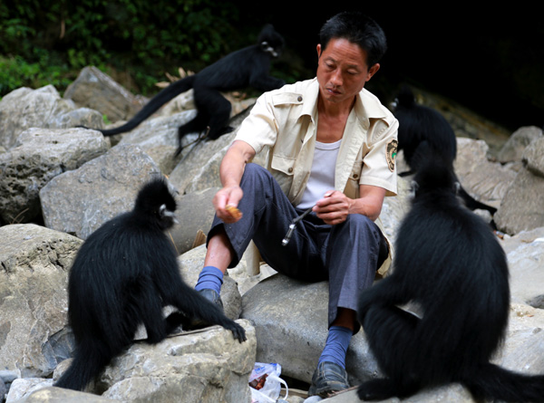 Tamer takes care of rare-monkey business