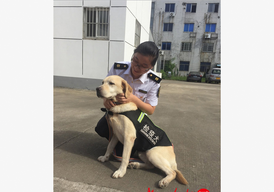 Retired quarantine dog adopted by citizen