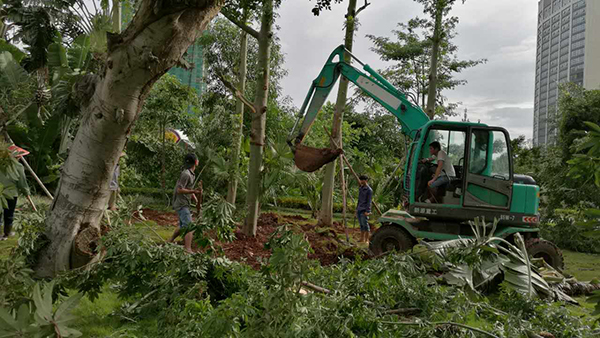 Typhoon Sarika brings heavy toll in Hainan