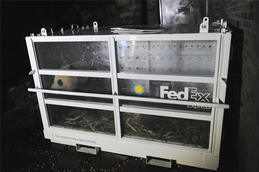 Bao Bao lands safely in China after return from US
