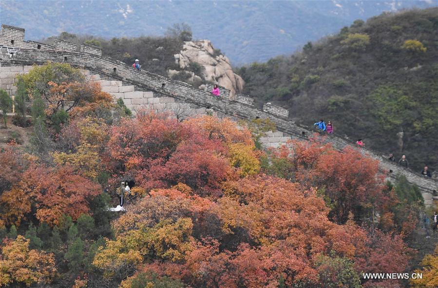 Les couleurs automnales de la Grande Muraille à Pékin