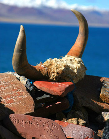 Amazing Tibet with beautiful scenery and devotional people