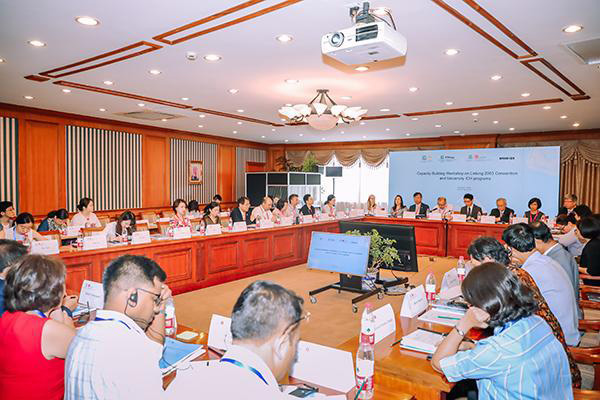 非遺與高校如何融合？聯(lián)合國教科文組織在滬舉辦培訓(xùn)班