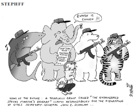 Cartoon