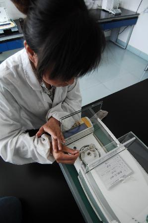 技術(shù)創(chuàng)新千年藏藥煥生機