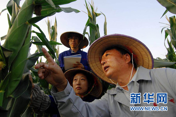李登海：農(nóng)民科學(xué)家的報國夢