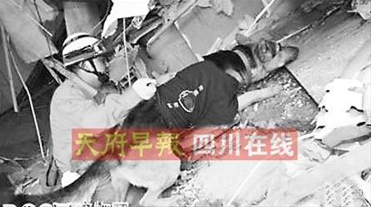 央視大鬧“烏龍事件” 新聞?lì)l道播出假新聞(圖)