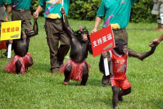 動物趣味運動會開鑼迎亞運