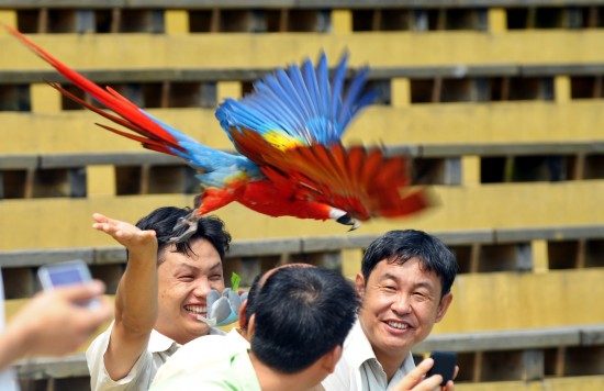 動物趣味運動會開鑼迎亞運