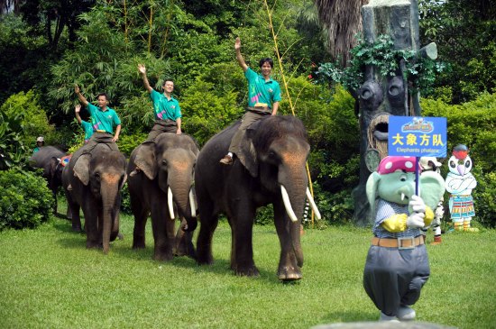 動物趣味運動會開鑼迎亞運