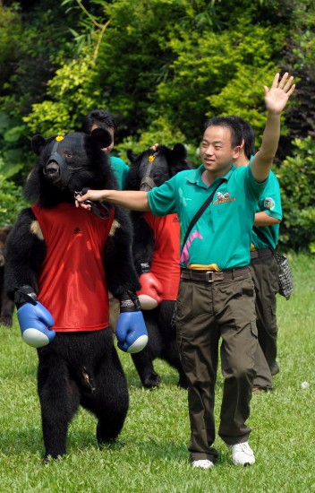 動物趣味運(yùn)動會開鑼迎亞運(yùn)