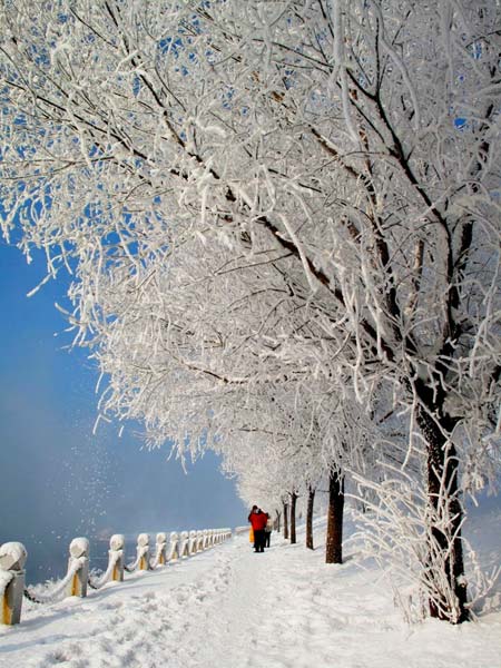 最美雪景 吉林霧凇