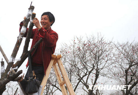 全國(guó)各地鬧新春 迎元宵
