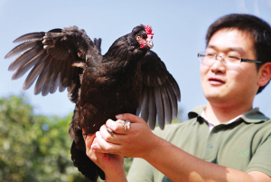 大學(xué)生村官郭帥阮江南創(chuàng)業(yè)中收獲愛情（組圖）