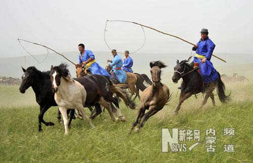 內(nèi)蒙古克什克騰旗舉辦馬文化節(jié)