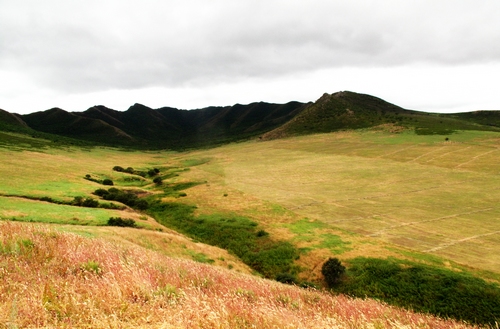 扎魯特山地草原風(fēng)光