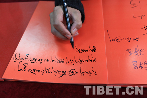 數(shù)千觀眾周末盡享“和美西藏”美術(shù)展藝術(shù)盛宴