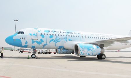 首架全機(jī)身噴繪“大運(yùn)號”客機(jī)深圳亮相