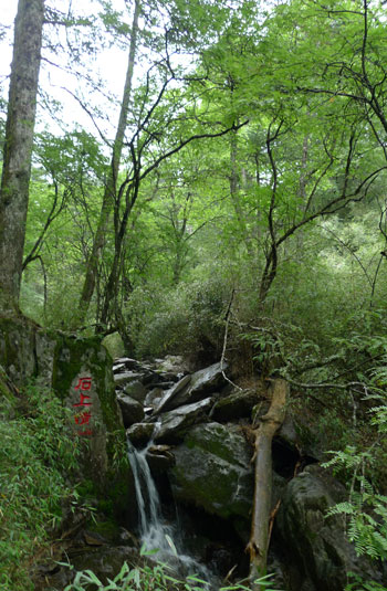走進(jìn)避暑勝地神農(nóng)架(組圖)