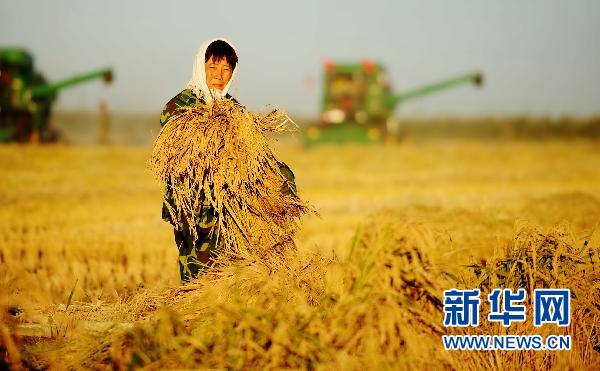政府工作報(bào)告：新開工保障房700萬(wàn)套