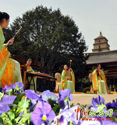 尋秦掠影：近看長(zhǎng)安花（組圖）