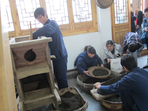 走進(jìn) “茯茶之源” 體驗手工筑制茯茶工藝
