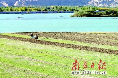 行走青海貴德 感受“塞外小江南”