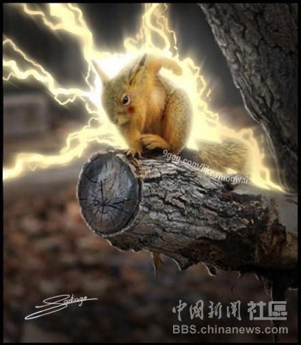 元芳很忙！細(xì)數(shù)那些一個不小心就火起來的“忙人”