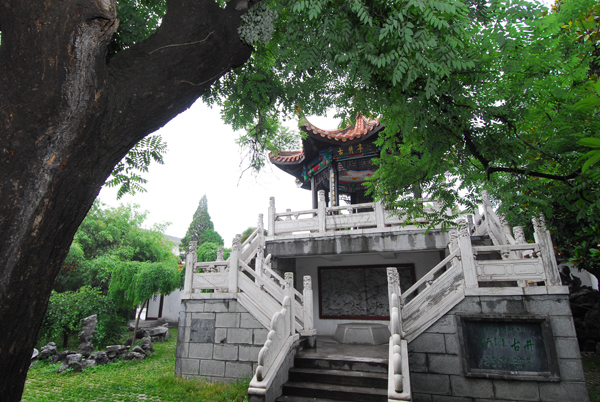 古井貢酒•年份原漿：堅(jiān)持的力量 ——解讀古井貢酒的“中國名酒二品論”