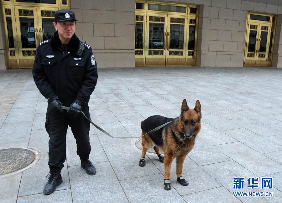 警犬“助陣”兩會安保工作：大會堂內(nèi)細(xì)致檢查