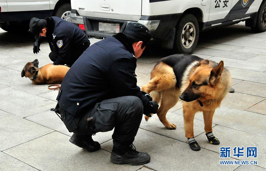 警犬“助陣”兩會安保工作：大會堂內(nèi)細致檢查