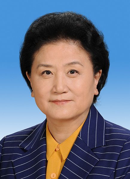 人代會決定國務院其他組成人員