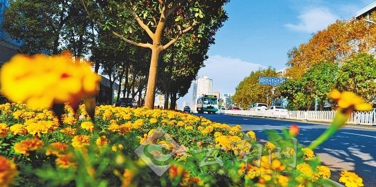 市民文明監(jiān)督團(tuán)與記者“驗收”昆明整治道路