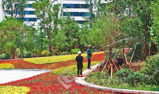 市民文明監(jiān)督團(tuán)與記者“驗收”昆明整治道路