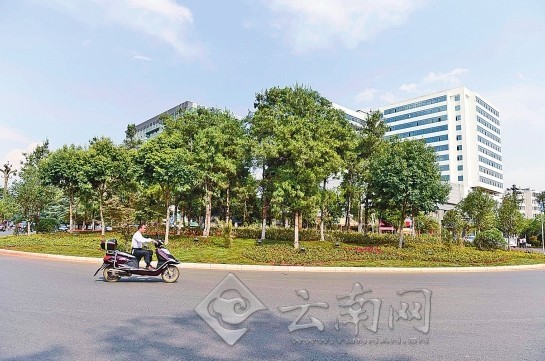 市民文明監(jiān)督團(tuán)與記者“驗收”昆明整治道路