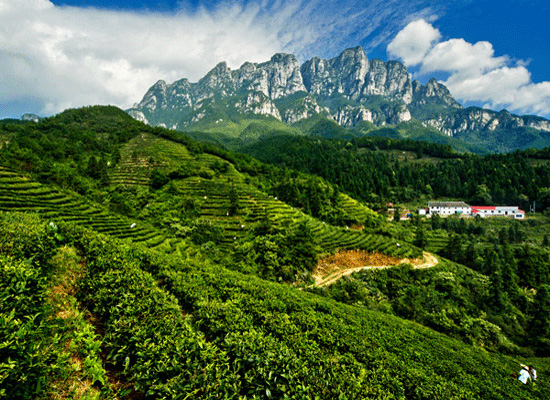廬山：不識廬山真面目 只緣身在此山中