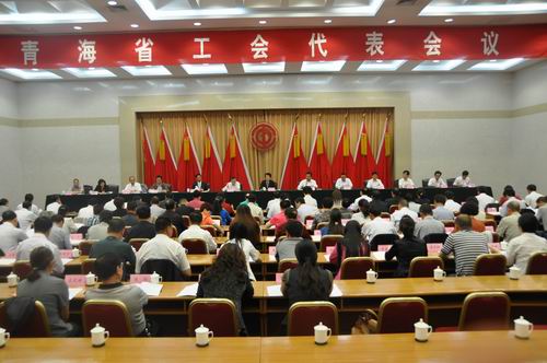 青海省選出20名中國(guó)工會(huì)十六大代表（圖）