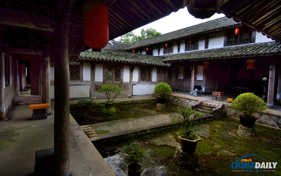 海外華人網(wǎng)友：回家過(guò)年 傳統(tǒng)的逆襲